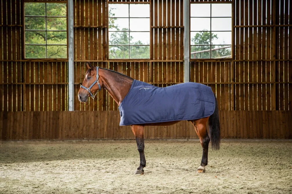 Dy'on derka Under Rug