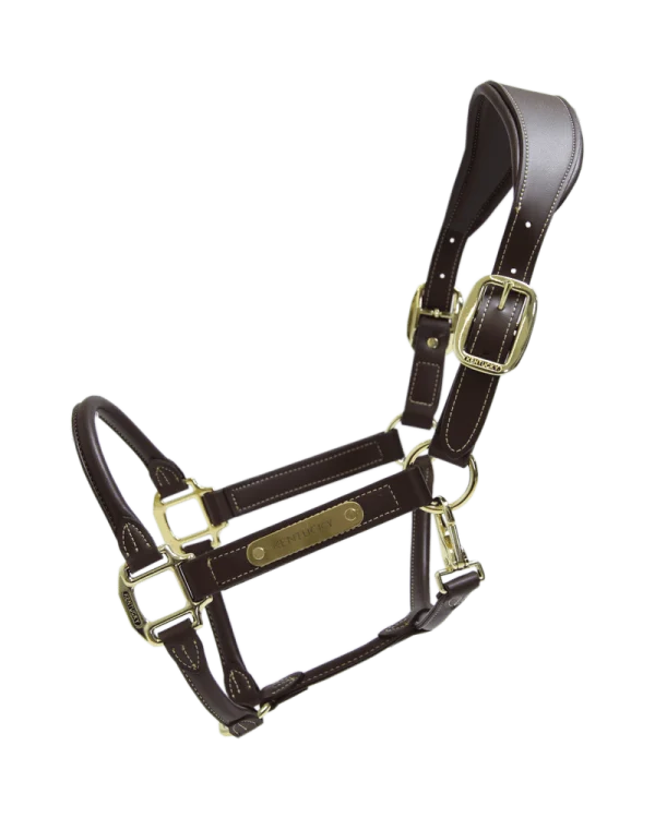 Kentucky Horsewear kantar skórzany anatomiczny