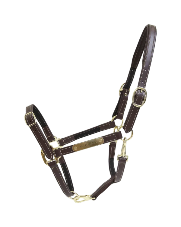 Kentucky Horsewear kantar Leather Halter Flexible