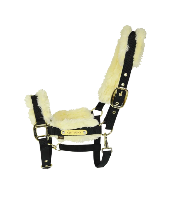 Kentucky Horsewear kantar Nylon sheepskin halter