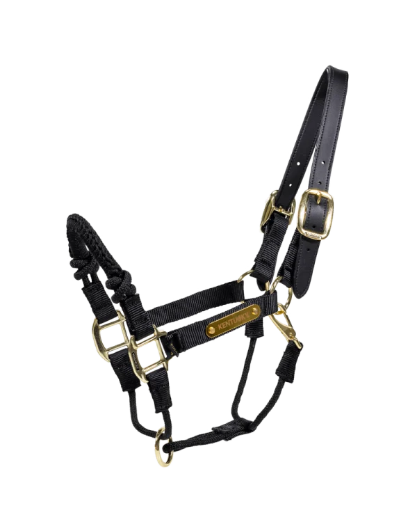 Kentucky Horsewear kantar Control Halter Nylon