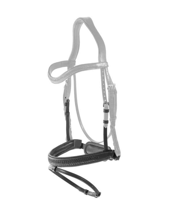 Dy’on nachrapnik Plaited Flash with Pull back New English
