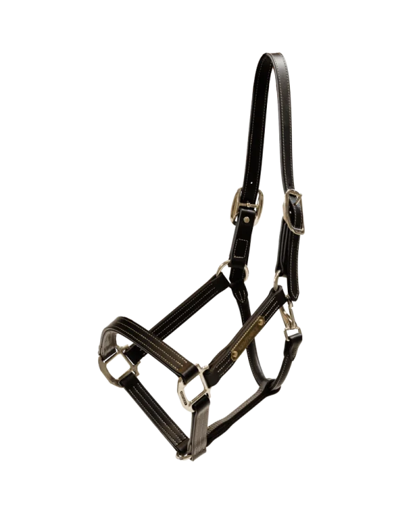 Kentucky Horsewear kantar Wellington ze skóry syntetycznej