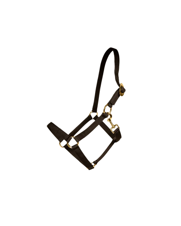 Kentucky Horsewear kantar nylonowy