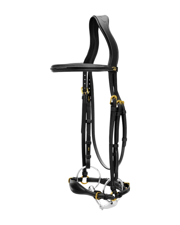 Dy’on ogłowie Adjustable Drop Noseband Bridle D Collection