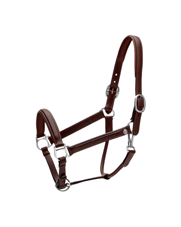 Dy’on kantar Head Collar Fancy Working Collection