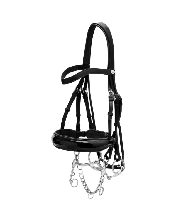 Dy’on ogłowie Patent Large Crank Noseband Double Bridle Working