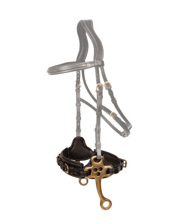 Dy’on hackamore Dy’on Collection D Collection