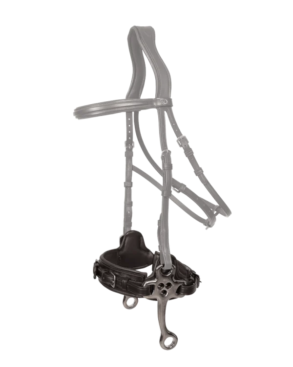 Dy’on hackamore New English Collection