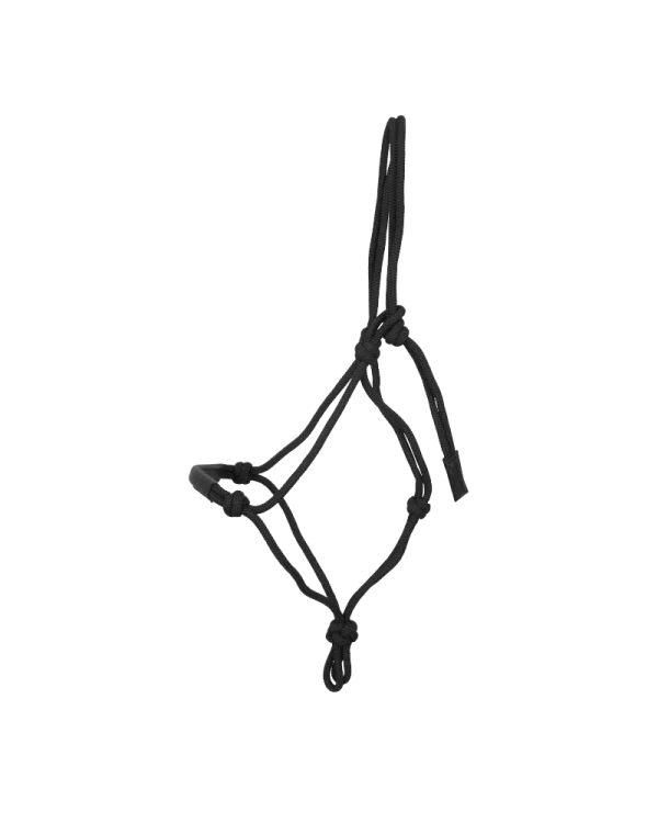 Dy’on kantar Dyon Training Halter Working
