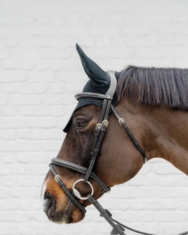 Dy'on ogłowie Plaited Flash Noseband Bridle D Collection
