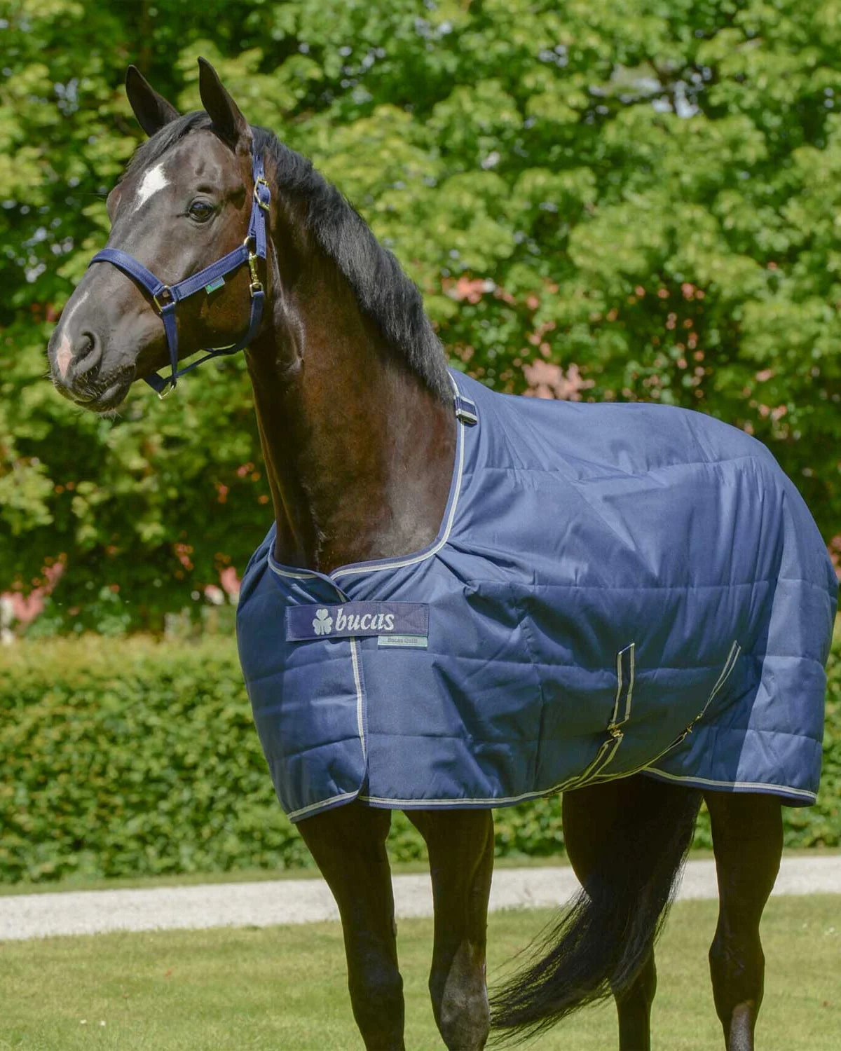 Bucas derka stajenna 300 SD Stay-dry granatowa