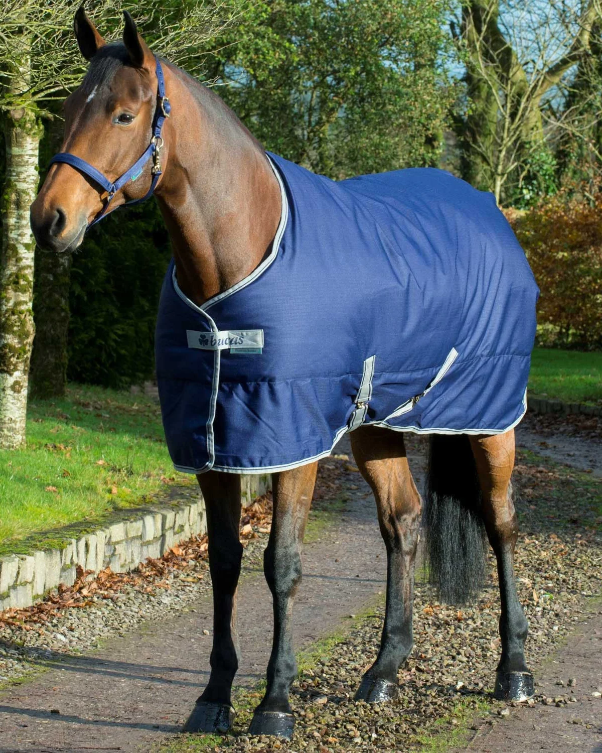 Bucas derka stajenna Freedom Stable 300 g z podszewką Stay-dry