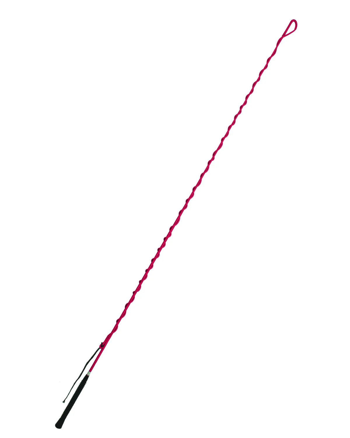 Bicz do lonżowania 180 cm