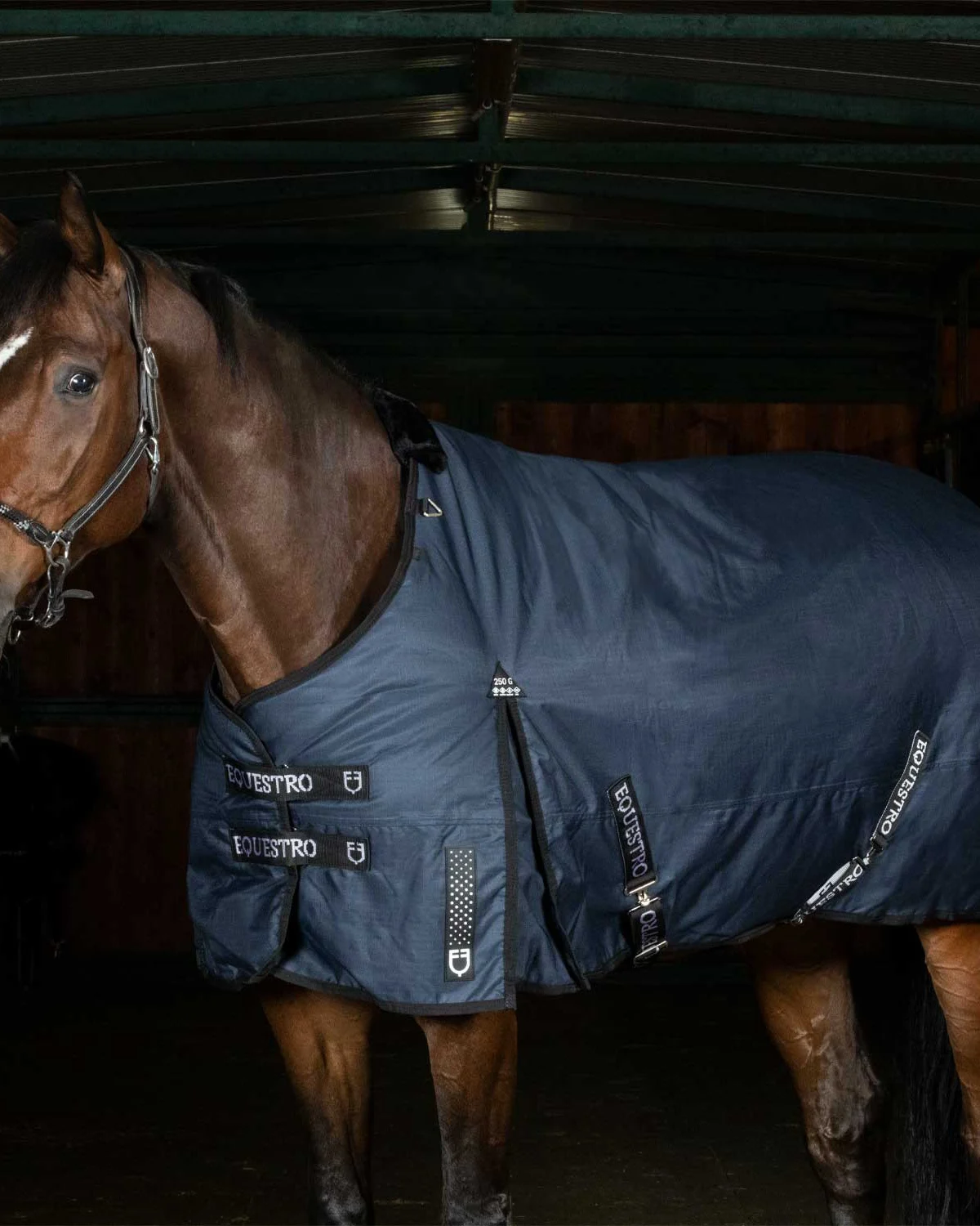 Equestro derka padokowa Nevada rip-stop 600D z wypełnieniem 250 g