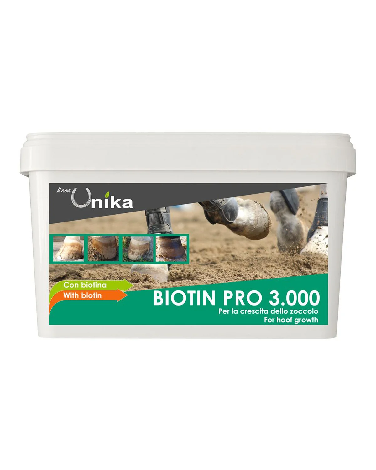 Biotyna Pro 3000 (1 kg)