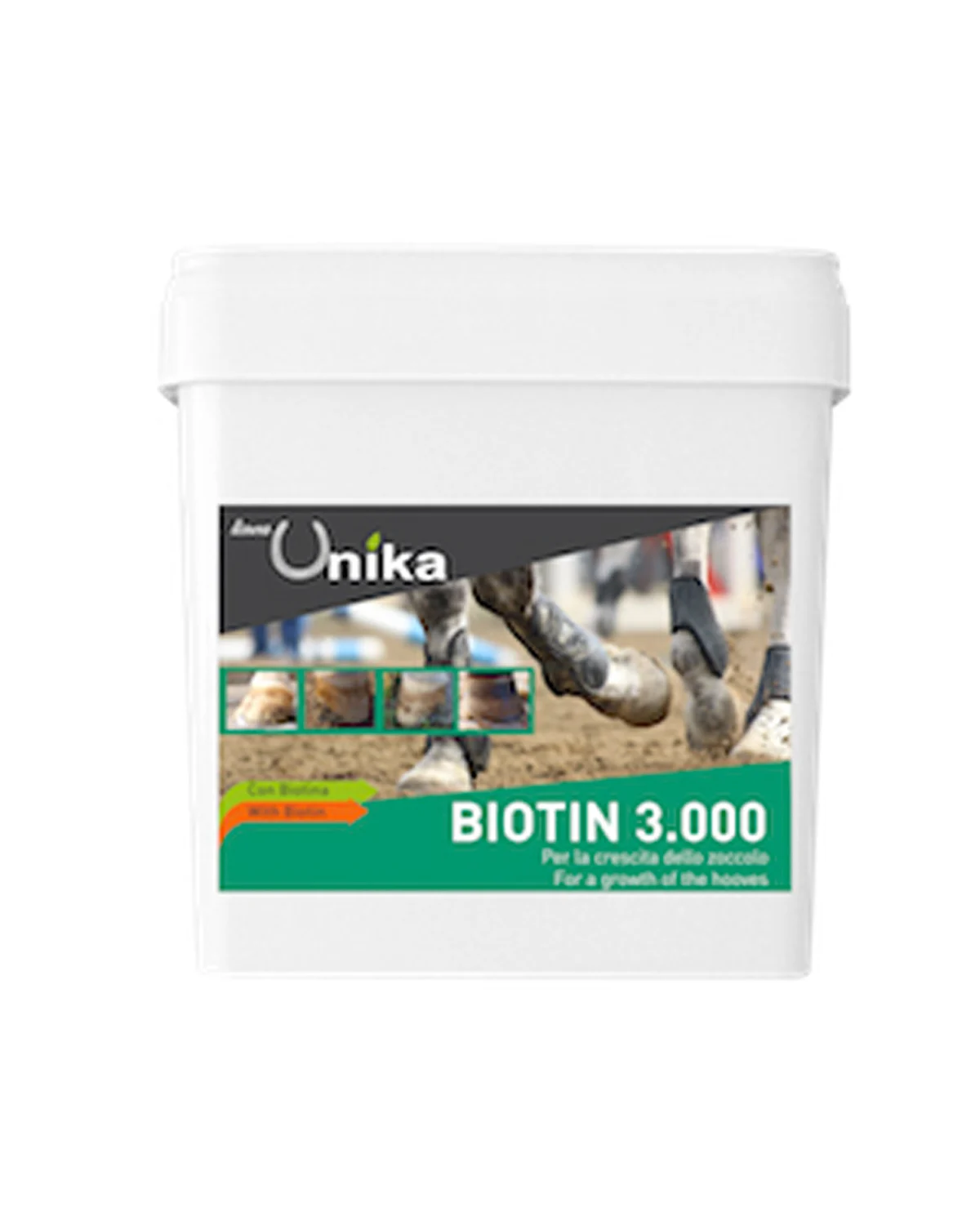Biotin Pro 3.000 (2 kg)