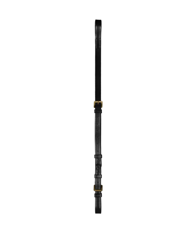 Dy'on wytok Standing Martingale Attachment D Collection