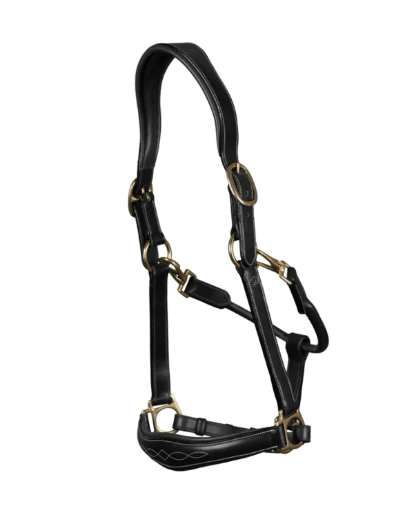 Dy'on kantar Leather Head Collar D Collection