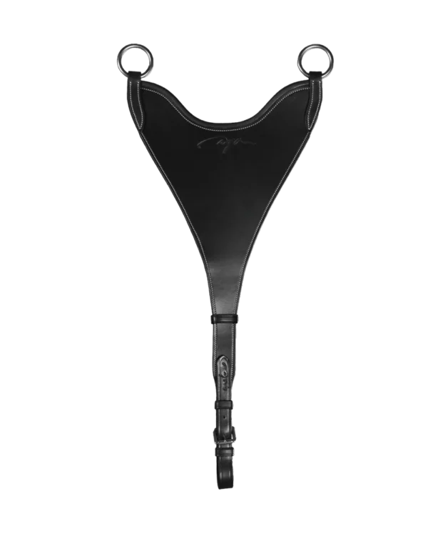 Dy'on wytok Hard BIB Martingale Attachment US