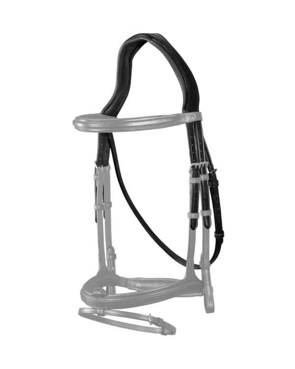 Dy'on potylica Headpiece With Throat Latch New English