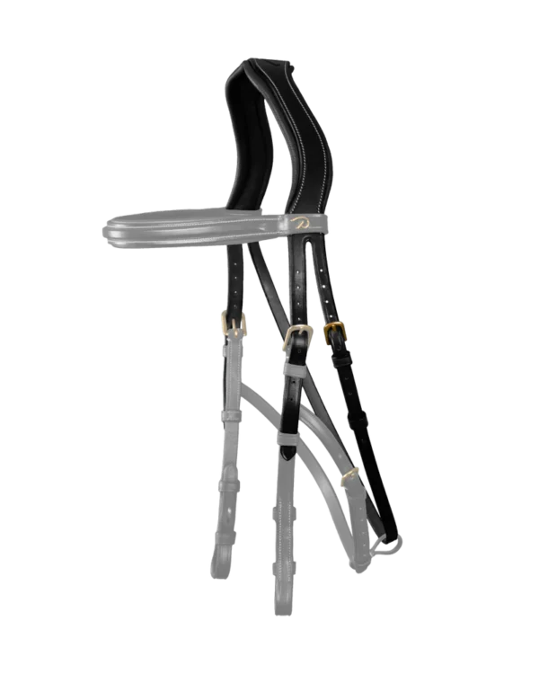 Dy'on potylica do hackamore D Collection